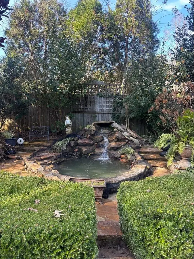 Garden pond with a stone waterfall framed by clipped hedges
